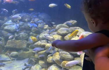 Revigore-se e desfrute o que a vida tem de bom - Photo 5