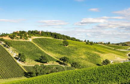 VILLA PERGOLA 8, Emma Villas - Foto 17