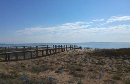 Apartamento entre playa y dunas - Foto 7