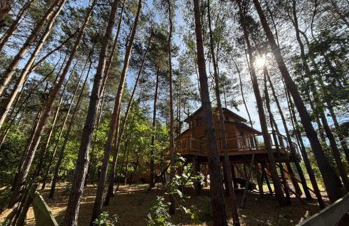 ForRest House Domki na drzewie niedaleko Suntago - Photo 14