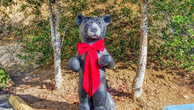 Gatlinburg Towers Condo Unit 501 - Great Location! Close To Town! 3 Bedroom Condo by RedAwning - Foto 2, Jardines del alojamiento