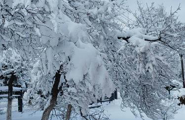 Domki wypoczynkowe - całoroczne. - Foto 28