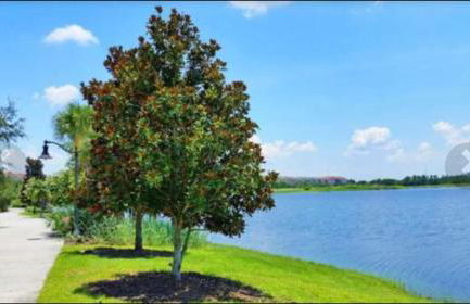 Executive 3 Bedroom Villa at Universal,Convention Center, Vista Cay - Foto 154