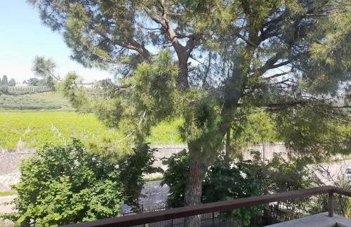 Verona Est Due - Foto 12