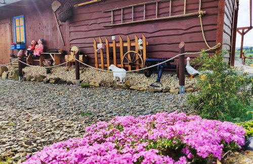 Agroturystyka Faron - Foto 29