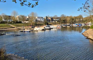 Erftmündung - Foto 21