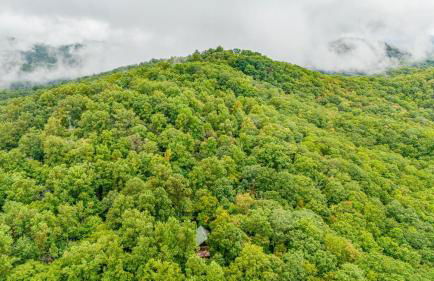 Red Wolf by Carolina Mornings - Foto 33