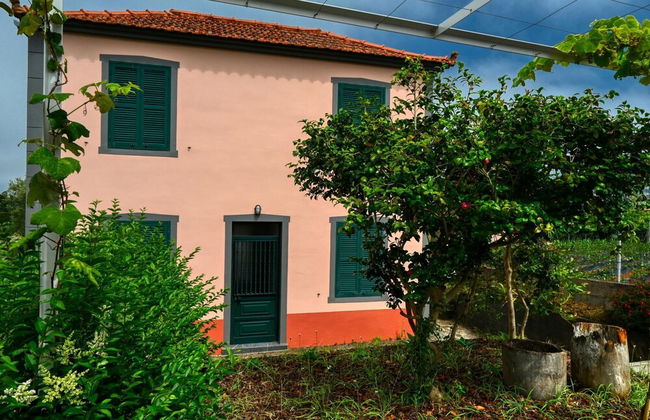 Os Ferreirinhos, a Home in Madeira - Foto 92