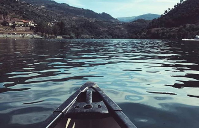 Quinta de S. Bernardo Winery & Farmhouse - Foto 25