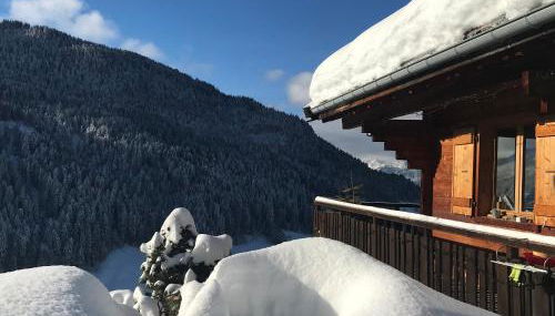 La marmotte qui papote - Photo 3