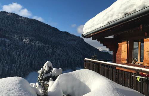 La marmotte qui papote - Photo 3