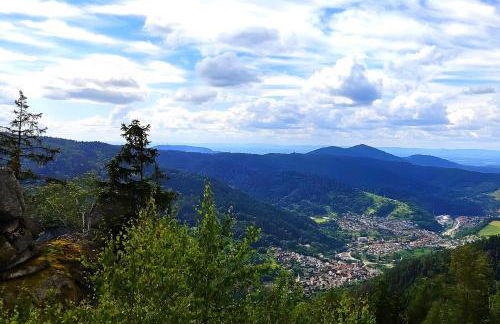 Fewo am Rain - Foto 24