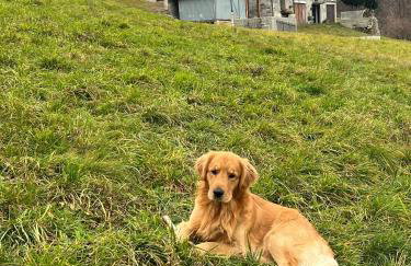 Il Nido Del Colibrì - Foto 36