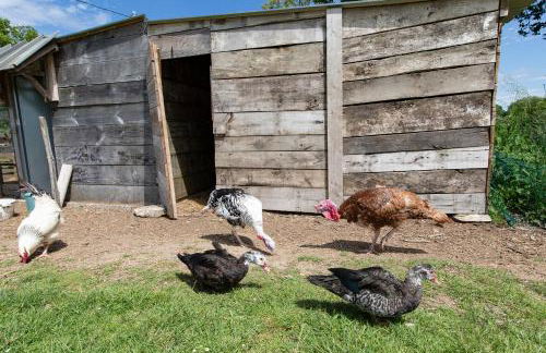Gîte Chabrignac, jacuzzi et sauna privatif, piscine chauffée partagée, Wifi, salle de jeux - Foto 24
