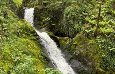 The Retreat - 2 bed cottage in Aberdovey - Foto 9