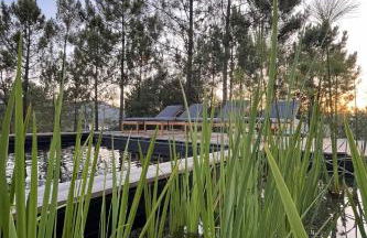 Natura Natura - Foto 30