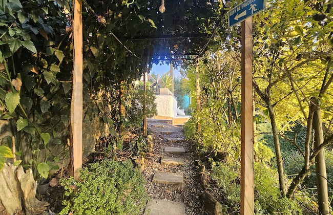 finca hotel zona 7 - Foto 78