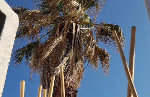 Mira Living Concept Suites Adults Only - Foto 30