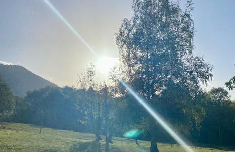 Foix Villa 150m2 dans très grand parc arboré - Foto 38