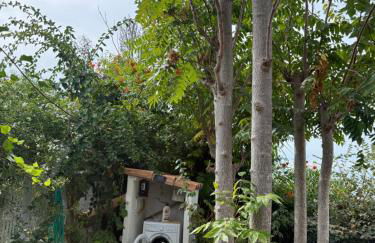 Appartamenti Pousada Michelino - Foto 66