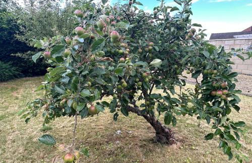 3-Bedroom spacious House, Private garden, Prime location, WiFi, Netflix - Foto 42