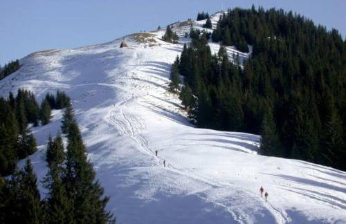 Ferienwohnung Alpenblick - Foto 41