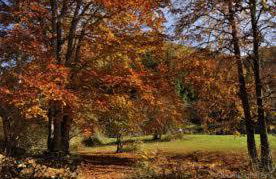 Casa Batit - Foto 25