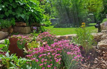 Schwarzwaldmarie - Foto 20