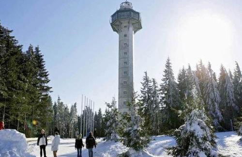 Apartment in the Hochsauerland region in a quiet location - Foto 100