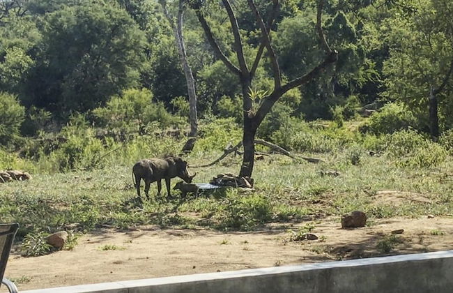 Discover the Attraction of Villa Umoja - Photo 21