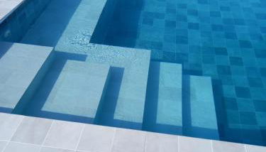 las camelias - Foto 1