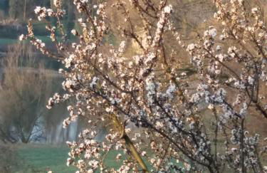 Sveva's House - Foto 18