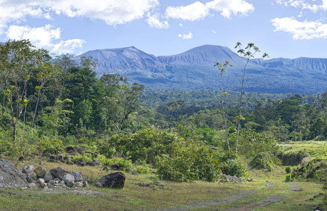 Oski Lodge - Foto 53