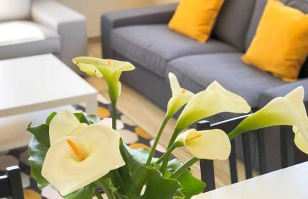 Spacious House with Private Pool Kitchen - Foto 9