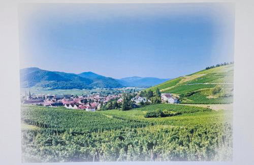 Panorama Cosy - Foto 5