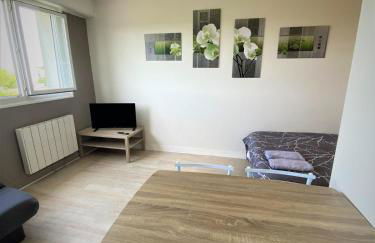 Appartement double à Limoges - Foto 12