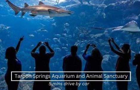 Mins to Beach - Studio Home- Walk to Downtown - Free Parking - Foto 47