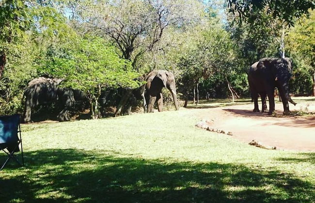 The Royal Sichango Village - Foto 52