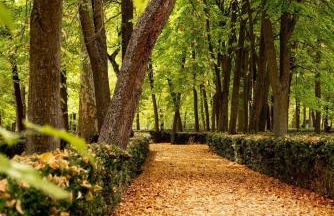 Apartamento Contemporáneo - Foto 40