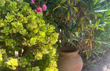 Casa rural frente al mar La Toscana - Foto 28