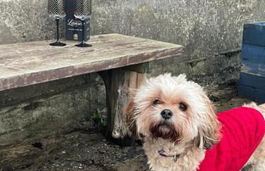 Dunoon River Clyde Flat - Foto 29