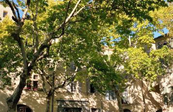 La Maison du Puisatier • Centre historique • Piscine chauffée •Jardin - Foto 75