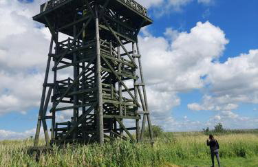 Greyówka dom kryty strzechą w Gardna Park - Foto 25