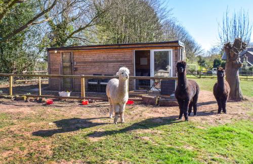 Alpaca Lodge - Photo 1