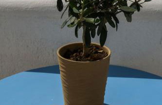 Stavros Villas - Foto 60