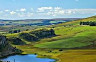 The Orchard House - Foto 36