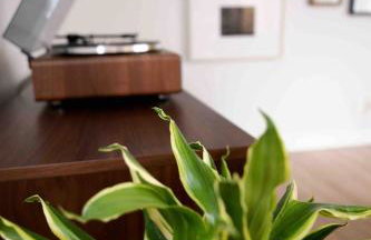 Lalaland Bungalow - Foto 22