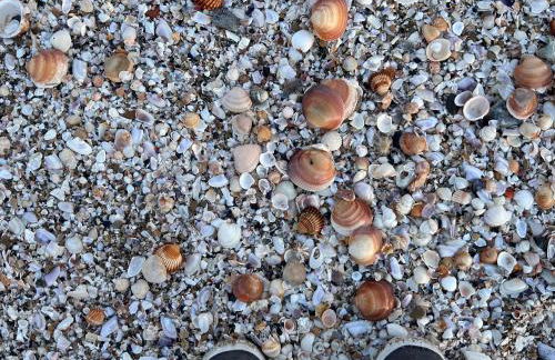 Beach Front 2 Bedrooms Apartment - Foto 17