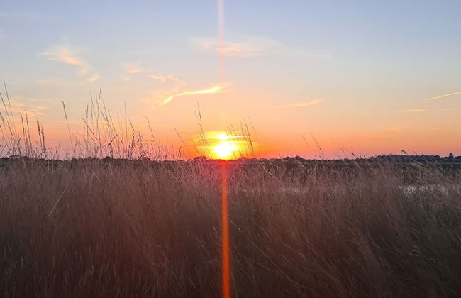 Haus Hemenswarft - Foto 70