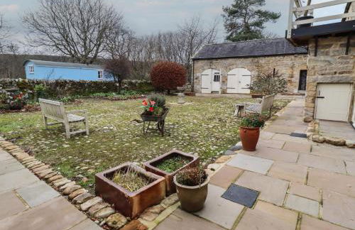 The French - Foto 26